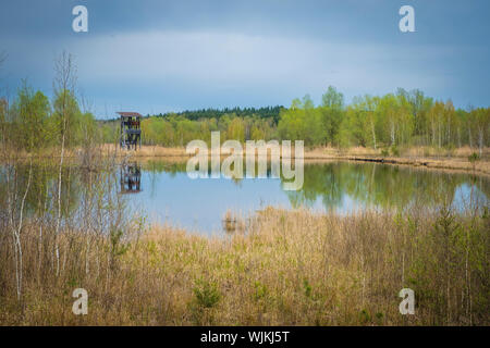 Aussichtsturm und-Plattform zur Vogelbeobachtung im Vogelparadies Weidmoos, Salzburg, Österreich Stockfoto