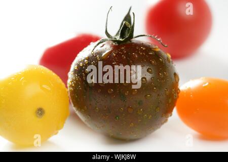 Kleine Kirsche variiert Multi Farbe Tomaten, im Studio, weißer Hintergrund Stockfoto