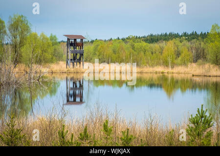 Aussichtsturm und-Plattform zur Vogelbeobachtung im Vogelparadies Weidmoos, Salzburg, Österreich Stockfoto