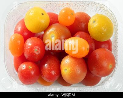 Kleine Kirsche variiert Multi Farbe Tomaten, im Studio, weißer Hintergrund Stockfoto