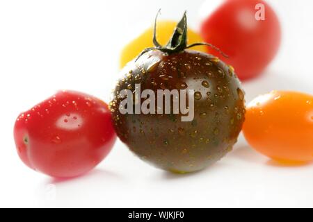 Kleine Kirsche variiert Multi Farbe Tomaten, im Studio, weißer Hintergrund Stockfoto