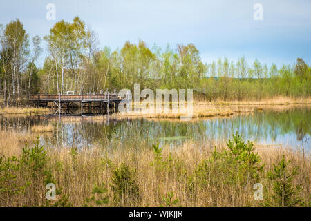 Aussichtsturm und-Plattform zur Vogelbeobachtung im Vogelparadies Weidmoos, Salzburg, Österreich Stockfoto