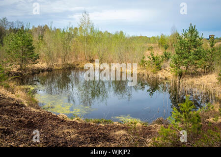 Wandern im Naherholungsgebiet Vogelparadies Weidmoos, Salzburg, Österreich Stockfoto