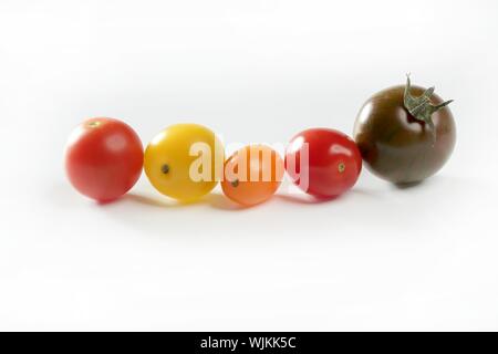 Kleine Kirsche variiert Multi Farbe Tomaten, im Studio, weißer Hintergrund Stockfoto