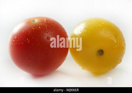 Kleine Kirsche variiert Multi Farbe Tomaten, im Studio, weißer Hintergrund Stockfoto