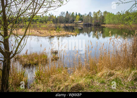 Wandern im Naherholungsgebiet Vogelparadies Weidmoos, Salzburg, Österreich Stockfoto