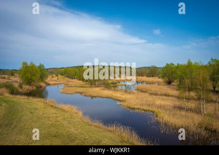 Wandern im Naherholungsgebiet Vogelparadies Weidmoos, Salzburg, Österreich Stockfoto