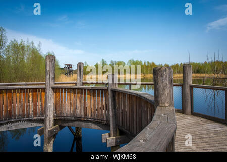 Aussichtsturm und-Plattform zur Vogelbeobachtung im Vogelparadies Weidmoos, Salzburg, Österreich Stockfoto