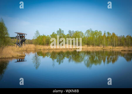 Aussichtsturm und-Plattform zur Vogelbeobachtung im Vogelparadies Weidmoos, Salzburg, Österreich Stockfoto