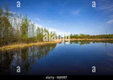 Wandern im Naherholungsgebiet Vogelparadies Weidmoos, Salzburg, Österreich Stockfoto