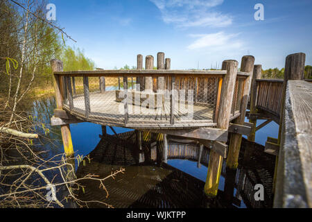 Aussichtsturm und-Plattform zur Vogelbeobachtung im Vogelparadies Weidmoos, Salzburg, Österreich Stockfoto