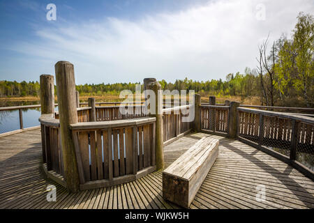 Aussichtsturm und-Plattform zur Vogelbeobachtung im Vogelparadies Weidmoos, Salzburg, Österreich Stockfoto