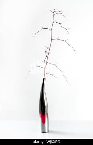 In einem trockenen Zweig Deko Vase, weiß studio Hintergrund Schuß Stockfoto