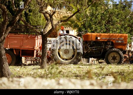 Alten verrosteten Traktor orange Farbe in Spanien. Landwirtschaft traditionelle Fahrzeug Stockfoto
