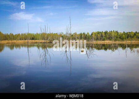 Wandern im Naherholungsgebiet Vogelparadies Weidmoos, Salzburg, Österreich Stockfoto