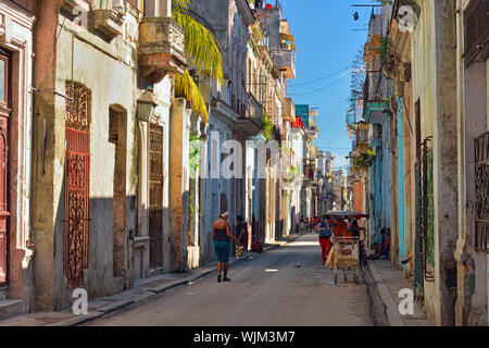 Street Fotografie in der Altstadt von Havanna - Seitenstraße mit Fahrzeugen und Fußgängern, La Habana (Havanna), Havanna, Kuba Stockfoto