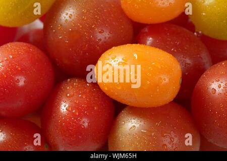 Kleine Kirsche variiert Multi Farbe Tomaten, im Studio, weißer Hintergrund Stockfoto