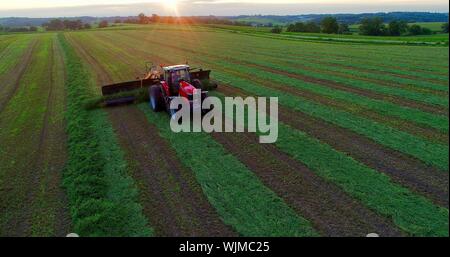 Luftaufnahme von Red Massey Ferguson 1880 Traktor mähen und schneiden Alfalfa-heu Feld bei Sonnenuntergang außerhalb Monroe, Wisconsin, USA Stockfoto