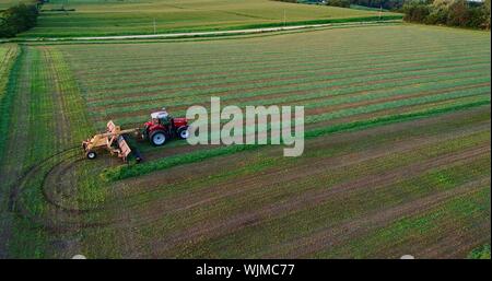 Luftaufnahme von Red Massey Ferguson 1880 Traktor mähen und schneiden Alfalfa-heu Feld bei Sonnenuntergang außerhalb Monroe, Wisconsin, USA Stockfoto