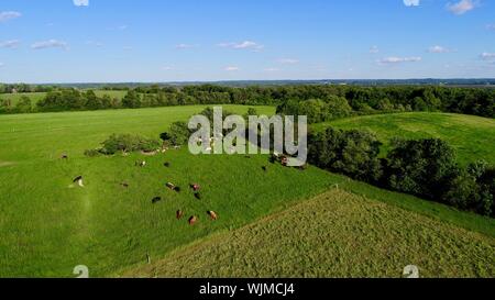 Luftbild bei Sonnenuntergang über Brattset Family Farm, ein organischer Rindfleisch Bauernhof mit Gras gefüttert Vieh, Jefferson, Wisconsin, USA Stockfoto