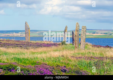 Ring von Brodgar errichtet 2500 v. Chr.-2000 v. Chr. ist die drittgrößte Steinkreis in der Britischen Inseln. Stockfoto