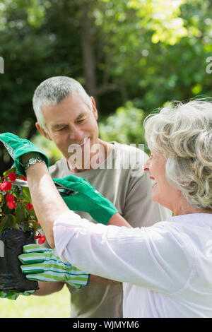 Seitenansicht eines Reifes Paar im Gartenbau tätig Stockfoto