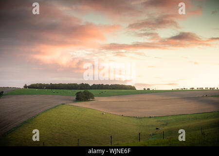 Sonnenaufgang über sanfte Hügel und Felder in die englische Landschaft mit gepflügten Feldern und grünen Wiesen, Hampshire, Großbritannien Stockfoto