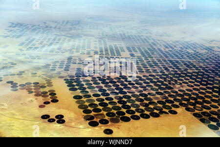 Luftaufnahme von kreisförmigen Landwirtschaft Felder in der arabischen Wüste in den VEREINIGTEN ARABISCHEN EMIRATEN. Stockfoto