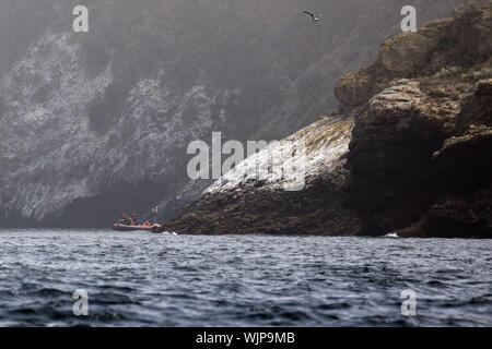 Insel Santa Cruz, CA, USA. 2. Sep 2019. Rescue Schiffe Suche nach der Konzeption tauchen Boot Brand in den frühen Morgenstunden am Montag, den 2. September 2019 in Santa Cruz, Kalifornien, Dreißig - neun Menschen an Bord der Konzeption, als das Feuer ausbrach, mit nur fünf Besatzungsmitglieder überleben und 34 Tote befürchtet. © 2019 Patrick T. Fallon Credit: Patrick Fallon/ZUMA Draht/Alamy leben Nachrichten Stockfoto