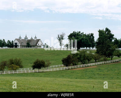 Pferde grasen auf einer Farm in Bluegrass Pferd Land, Lexington, Kentucky Stockfoto