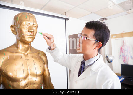 chinesische Medizin Arzt Lehre Akupunkturpunkte am menschlichen Modell Stockfoto