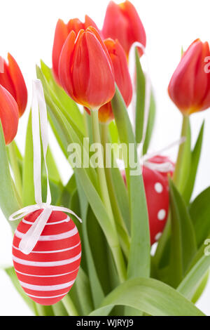 Bunte rote Ostern noch Leben mit zarten frischen Frühling Tulpen und Handbemalt traditionelle Ostereier angeordnet auf einem weißen Hintergrund mit copyspac Stockfoto