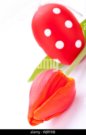 Bunte rote Ostern noch Leben mit zarten frischen Frühling Tulpen und Handbemalt traditionelle Ostereier angeordnet auf einem weißen Hintergrund mit copyspac Stockfoto