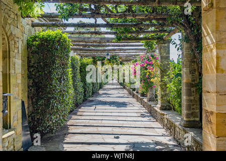 Pergola Walk-italienischen Garten - Hever Castle, Großbritannien Stockfoto