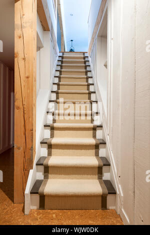 Treppe zum Keller in Wohngebäude mit Holzverkleidung Stockfoto