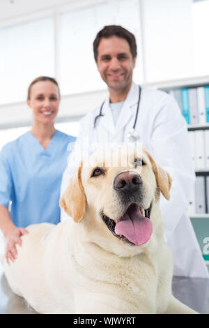 Portrait von Vertrauen Tierärzte mit Hund in Klinik Stockfoto