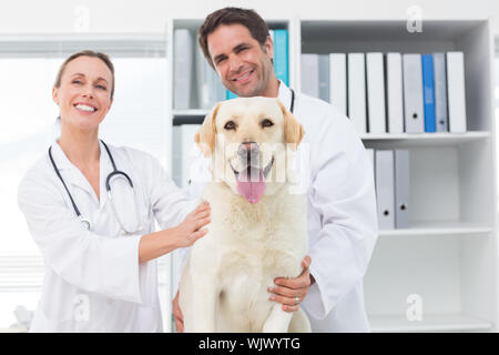 Portrait von Happy Tierärzte mit Hund in Klinik Stockfoto