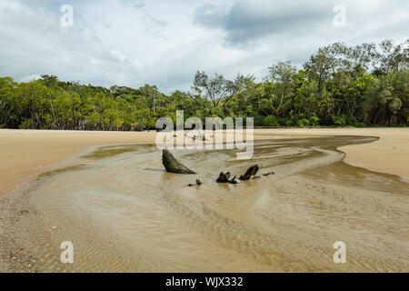 Daintree National Park, Queensland, Australien. Ein kleiner Bach in das Meer bei Cow Bay Strand in Daintree Nationalpark im tropischen Norden Queens Stockfoto