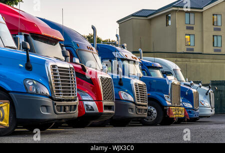 Anders machen und Modelle big Rigs halb Lkw mit Auflieger in Reihe stehen auf Truck Stop Parkplatz für Rest und mit der Bewegung acco entsprechen Stockfoto