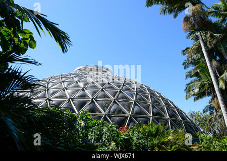 Tropische Anzeige Dome am Mt. Coot-tha-botanischen Gärten, Brisbane, Queensland, Queensland, Australien Stockfoto