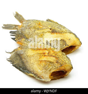 Frittierte "Salid" Fisch, Snake Skin Gurami (Trichogaster Pectoralis) Stockfoto