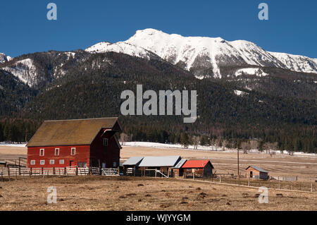 Eine Ranch Farm homestead sieht hell und kalt im Winterfrost Stockfoto