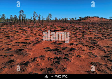 Karges Land im Zentrum von Australien nach einem Buschfeuer, Luftaufnahme Stockfoto