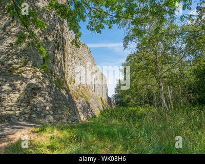 Athenry Castle ist ein Tower house und National Monument in Athenry befindet sich in der Grafschaft Galway, Irland. Die original beibehalten wurde 1235/40 errichtet. Stockfoto