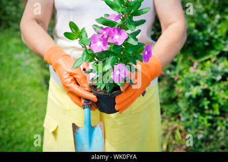 7/8-Ansicht der älteren Frau mit Blumentopf im Garten Stockfoto