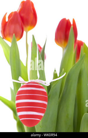 Bunte rote Ostern noch Leben mit zarten frischen Frühling Tulpen und Handbemalt traditionelle Ostereier angeordnet auf einem weißen Hintergrund mit copyspac Stockfoto