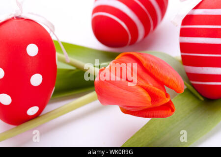 Bunte rote Ostern noch Leben mit zarten frischen Frühling Tulpen und Handbemalt traditionelle Ostereier angeordnet auf einem weißen Hintergrund mit copyspac Stockfoto