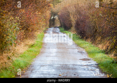 Landschaft und Straße im Frühling im Herbst im Freien Stockfoto