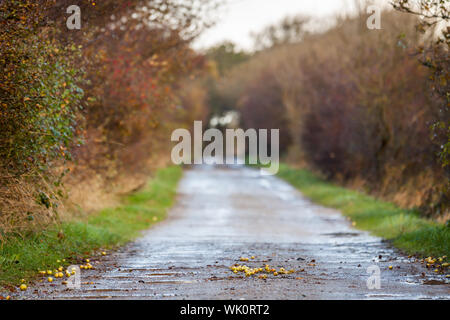 Landschaft und Straße im Frühling im Herbst im Freien Stockfoto