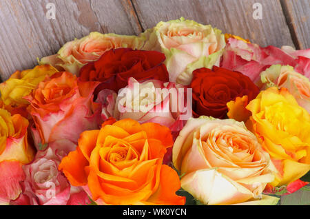 Bündel der schönen bunten Rosen isoliert auf Holz- Hintergrund Stockfoto